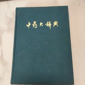 中医大辞典(下)