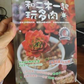 和二木一起玩多肉