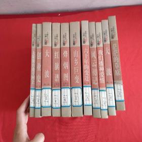 中国当代长篇小说藏本系列 (11本合售)