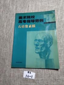 美術(shù)院校高考指導(dǎo)范例.石膏像素描