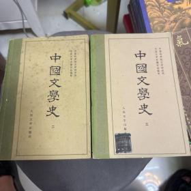中国文学史 三册