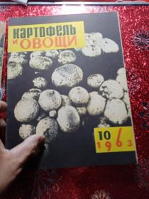 马铃薯蔬菜，1963年1到12期全，俄文版  农业大学  新疆八一农学院  李国正