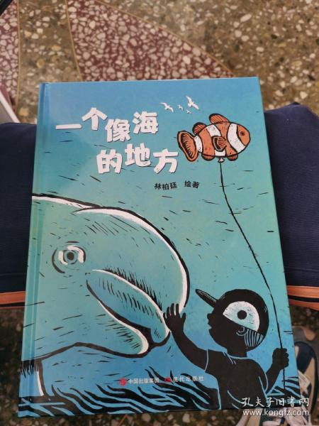 一个像海的地方