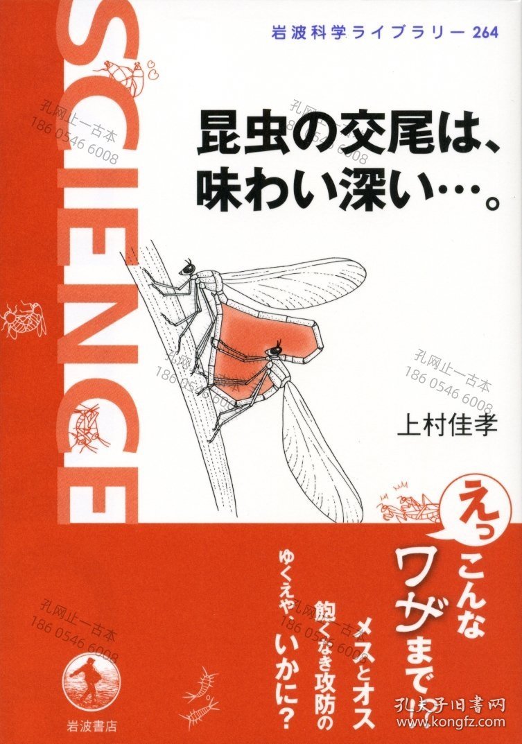 价可议 昆虫 交尾 味 深 昆虫文献 六本脚 59wxhwxh 昆虫の交尾は 味わい深い