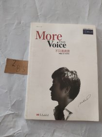 不只是声音：More Than Voice