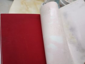 俄罗斯画家 戈留塔 精装大画册（孤品）