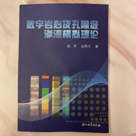 数字岩心及孔隙级渗流模拟理论