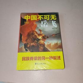 中国不可无岳飞