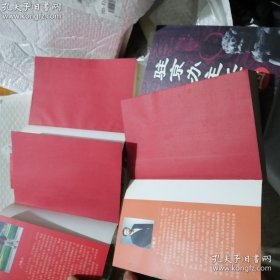 驻京办主任 一二三四（高端正版前三本红色扉页，全四册）王晓方（正版原版，稀缺整套老书）特价一套