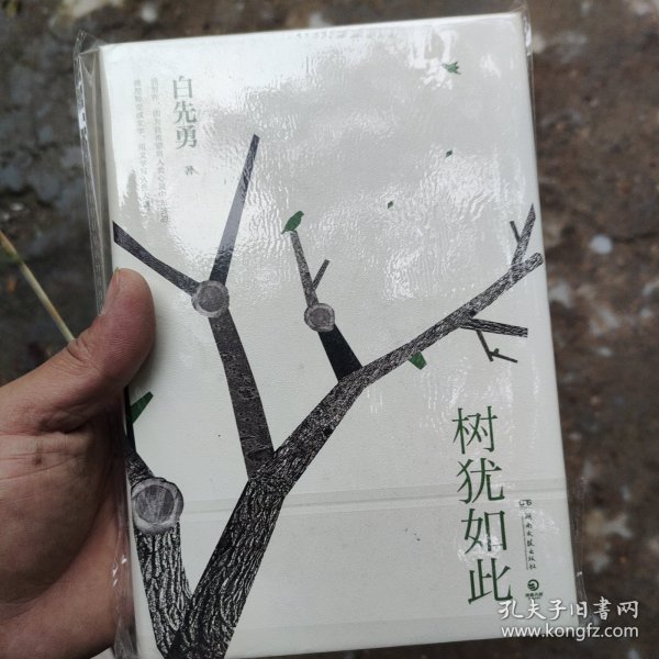 树犹如此（白先勇亲定选本，精装珍藏版）