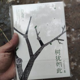 树犹如此（白先勇亲定选本，精装珍藏版）