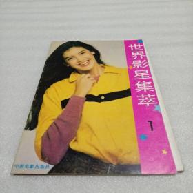 摄影画册，世界影星集萃1    全套12张