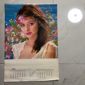明星挂历1990年6张