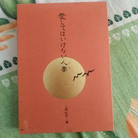 日文原版 不能不爱的人妻 小说写真附函套