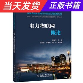 物联网技术在电力行业的应用系列丛书电力物联网概论