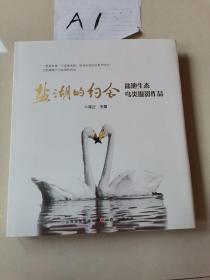 盐湖的约会：盐池生态鸟类摄影作品