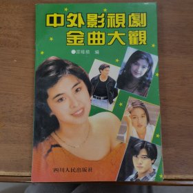 中外影视剧金曲大观 2
