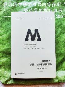 理想国译丛046：风雨横渡：英国、奴隶和美国革命