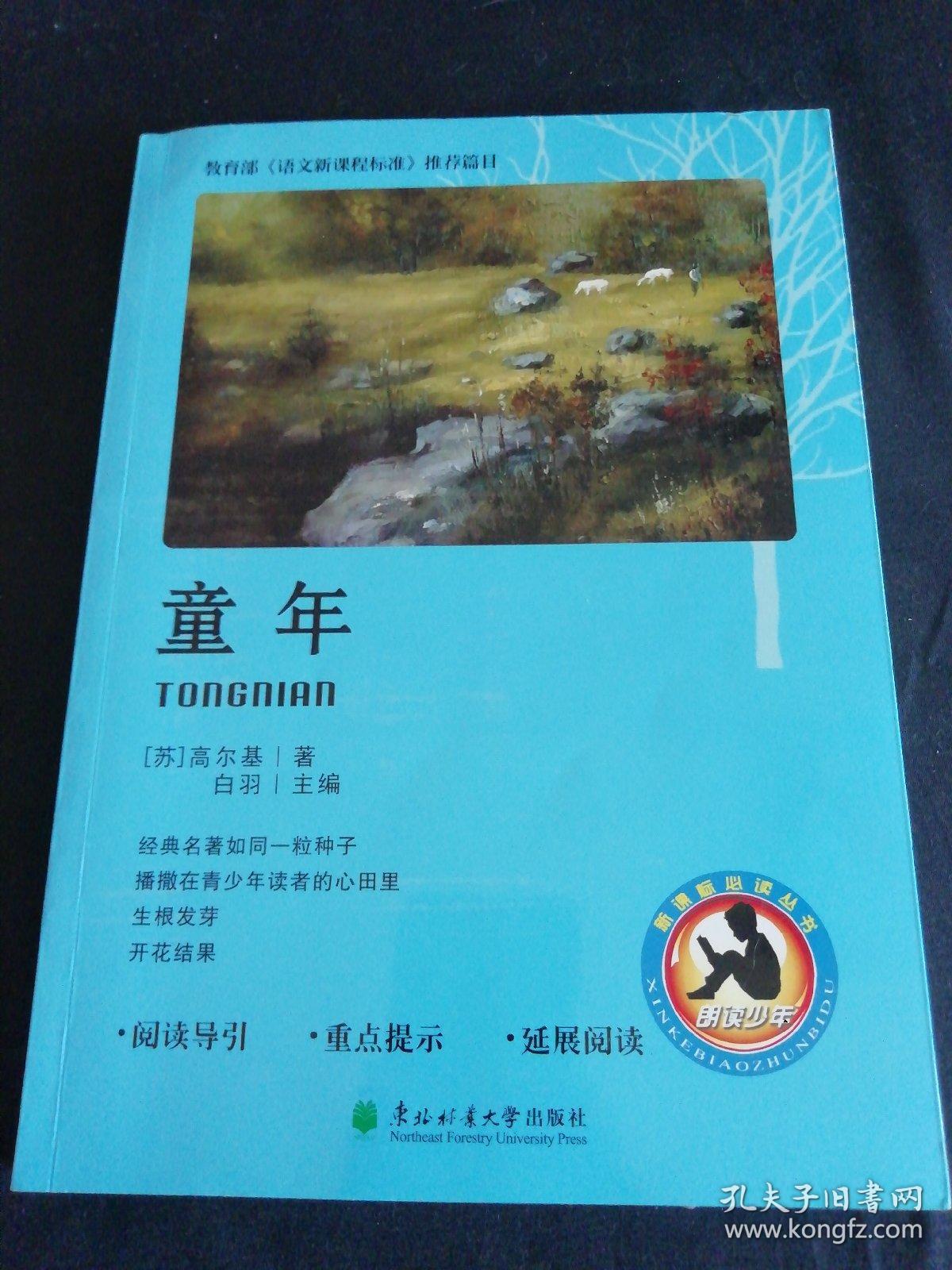 童年（几乎全新正版无笔记）
