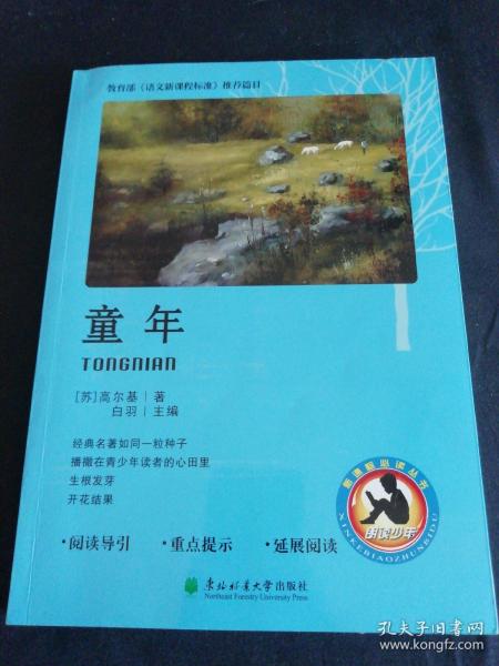 童年（几乎全新正版无笔记）