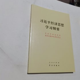 习近平经济思想学习纲要（16开）