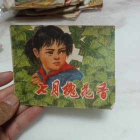 七月槐花香