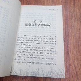 野犬女皇：动物小说大王沈石溪.品藏书系