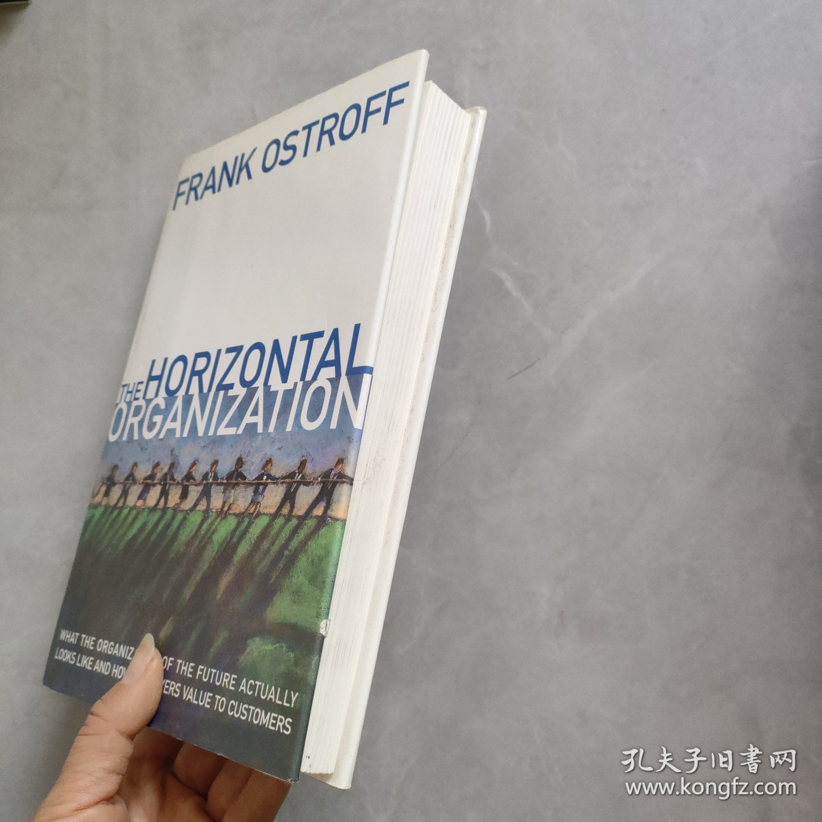 THE HORIZONTAL ORGANIZATION 横向组织