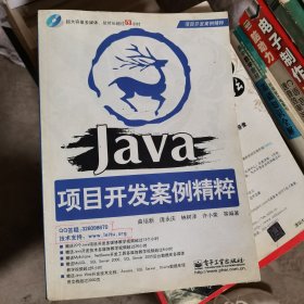 Java项目开发案例精粹