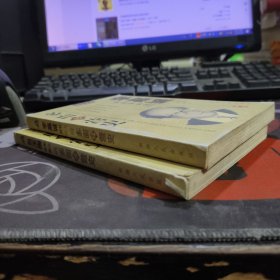 龙行天下：包玉刚纵横四海的多面经营史+李嘉诚终成伟业的多面经营史 2册合售