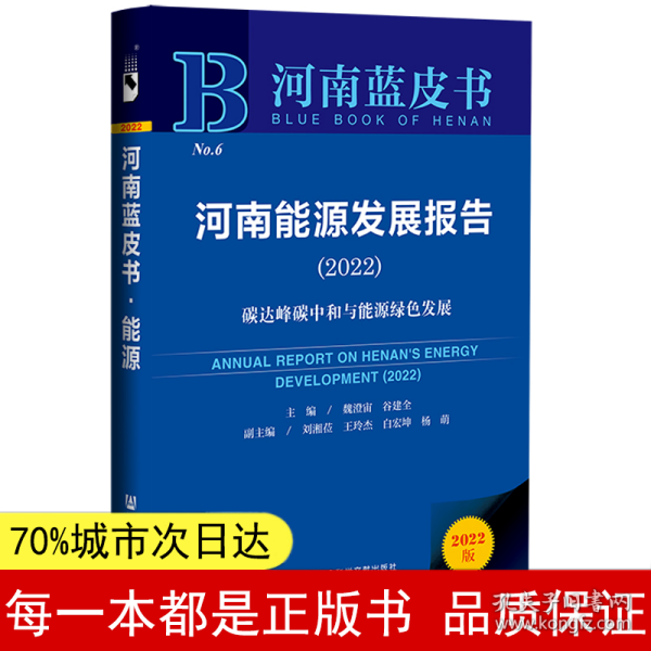 河南蓝皮书：河南能源发展报告（2022）