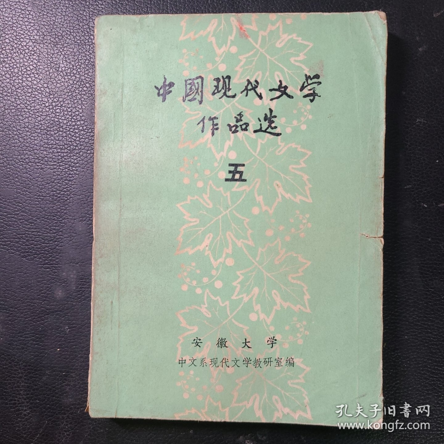中国现代文学作品选五