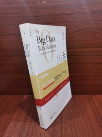 大数据：正在到来的数据革命，以及它如何改变政府、商业与我们的生活