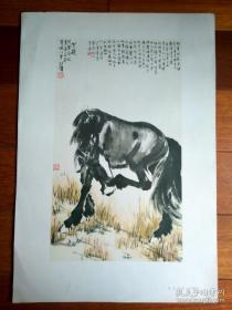 悲鸿画马集