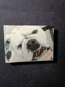 DOG:A dog's life in art and literature