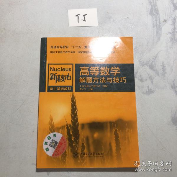 高等数学解题方法与技巧/新核心理工基础教材