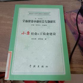 全面建設(shè)小康社會專題研究小康社會的工農(nóng)建設(shè)
