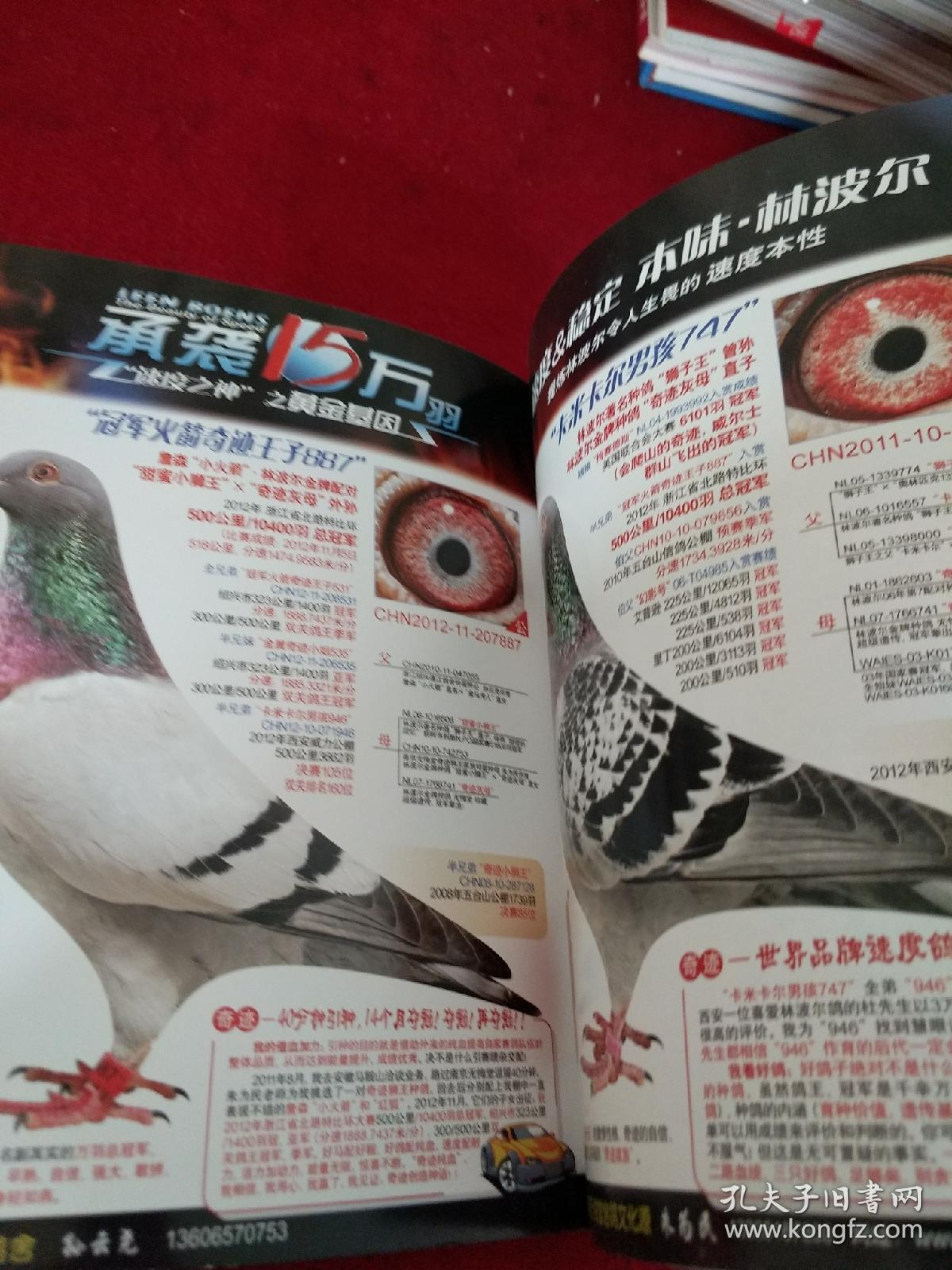 信鸽市场 杂志 赛鸽 2013春季号 总第34期