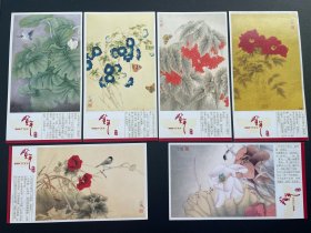 6枚一套花卉专题 荷花 牡丹花 海芋花 海棠 牵牛花 芍药 2007年金卡 60分邮资明信片