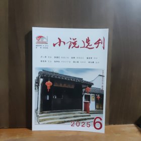 小说选刊 2025年第6期