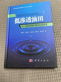 低渗透油田注入流体渗漏和窜流机理研究