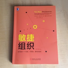 敏捷组织：如何建立一个创新、可持续、柔性的组织（原书第2版）