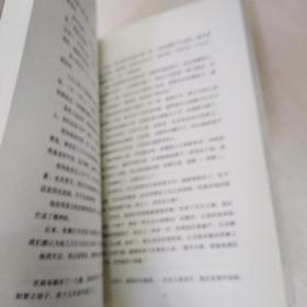 大成若缺：八十年代习武记 武士会 2册