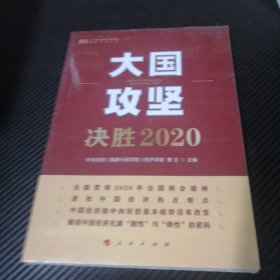 大国攻坚：决胜2020（中央党校（国家行政学院）智库系列丛书）