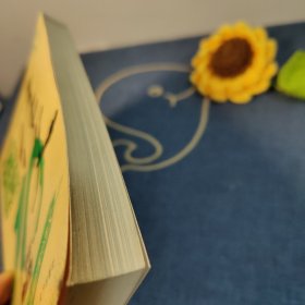中考满分作文：十年典藏版备战2020年中考智慧熊图书