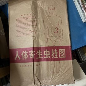 人体寄生虫挂图 【全套14张】
