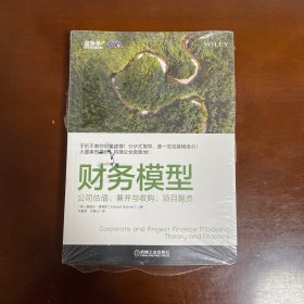 财务模型：公司估值、兼并与收购、项目融资