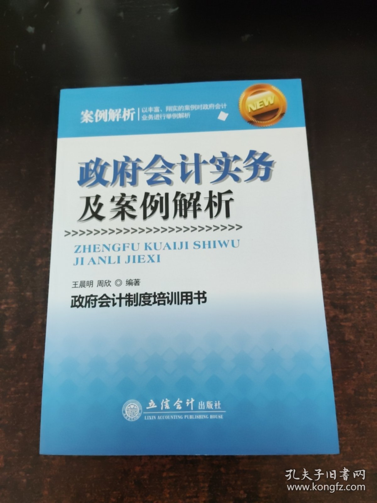 政府会计实务及案例解析