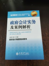 政府会计实务及案例解析