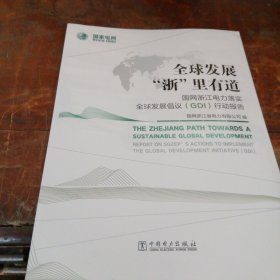 全球发展“浙”里有道国网浙江电力落实全球发展畅议（GDI）行动报告（正版，全新未拆封）